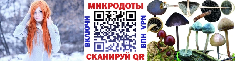 Псилоцибиновые грибы MAGIC MUSHROOMS Александровское
