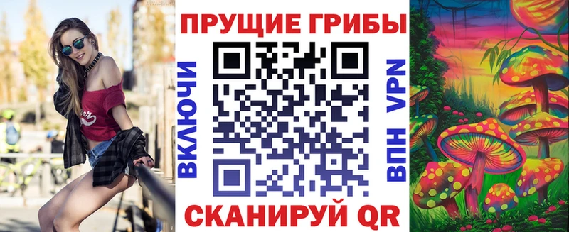 Псилоцибиновые грибы Psilocybine cubensis ссылка на мегу tor Александровское